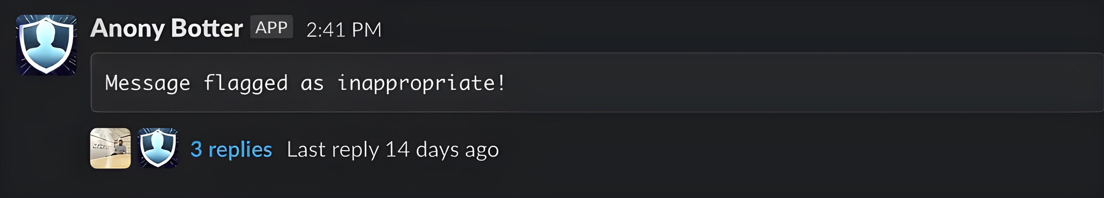 Screenshot for When is a message flagged as inappropriate?